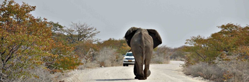 Self Drive in Namibia 17gg